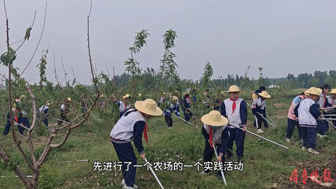 果然视频丨研学市场持续火热，研学内容从“游”向“学”逐步转变