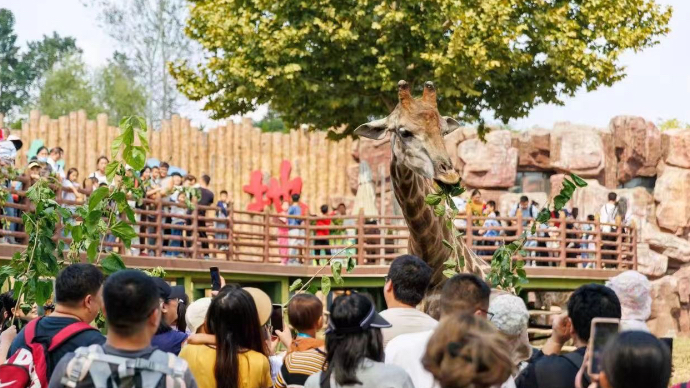 直播济南｜济南野生动物世界马戏嗨游节火热开启