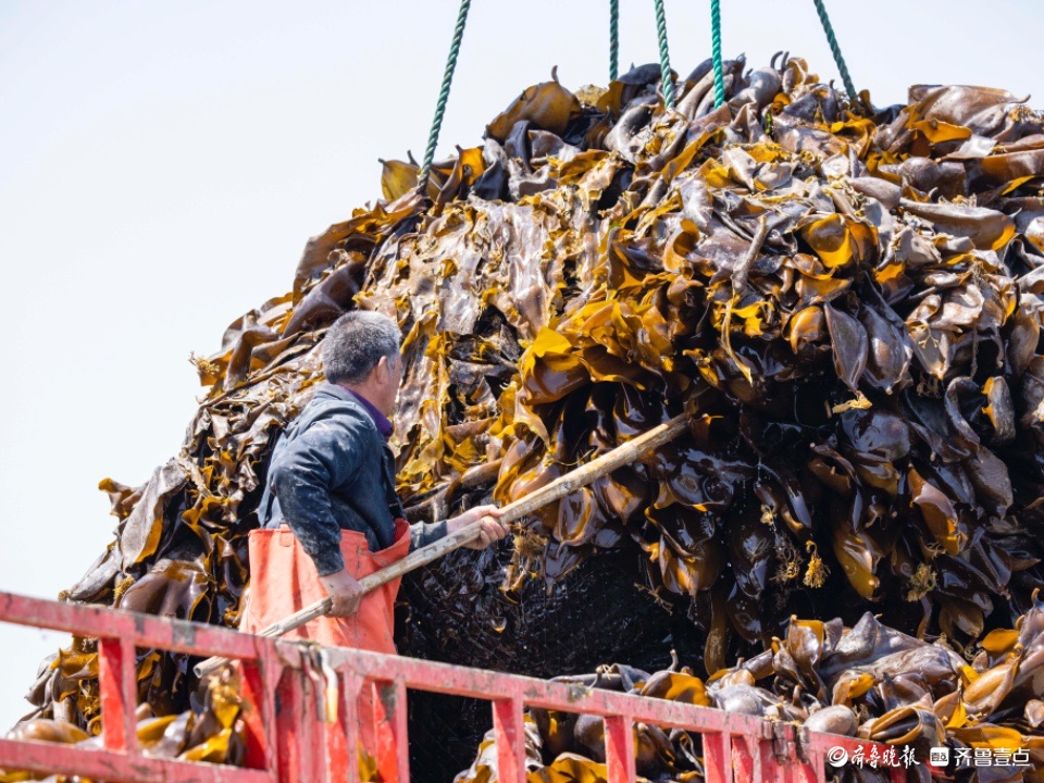 最美身影 | 收获满满