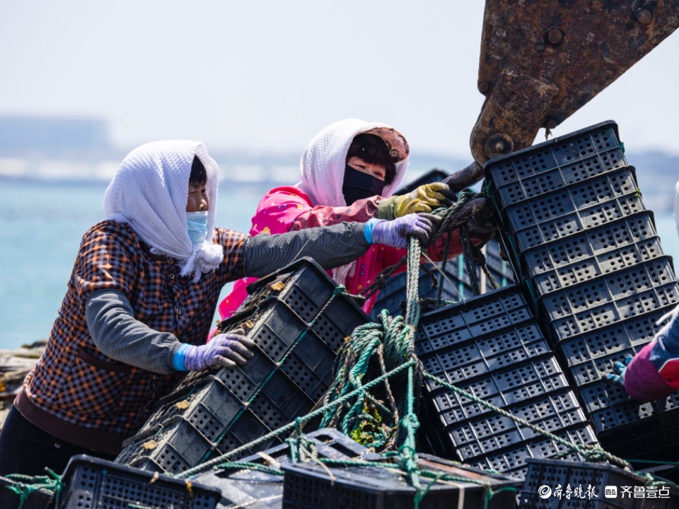 最美身影 | 收获满满