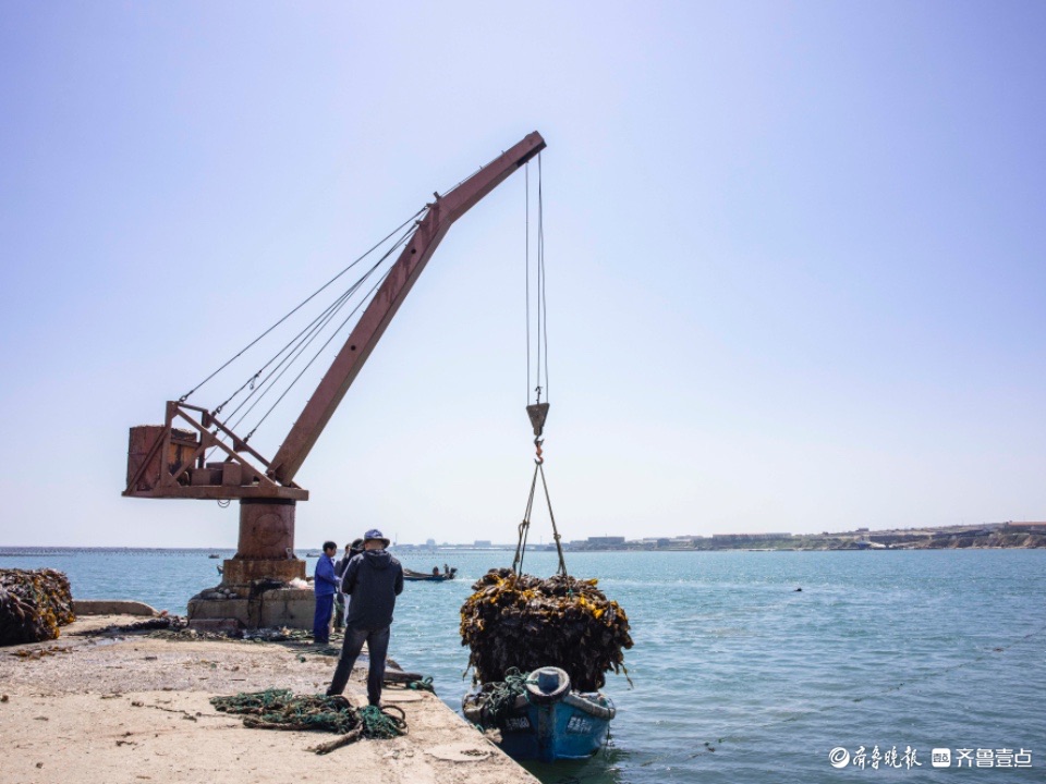 最美身影 | 收获满满