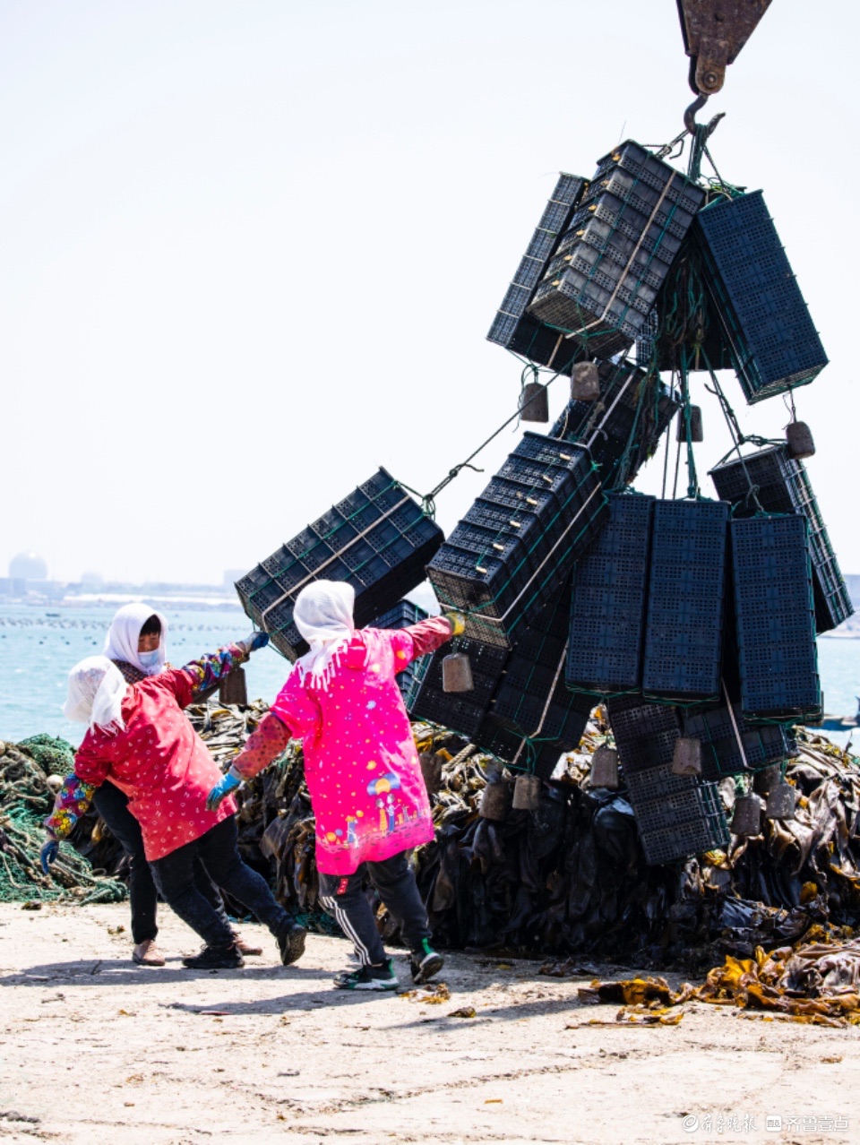 最美身影 | 收获满满