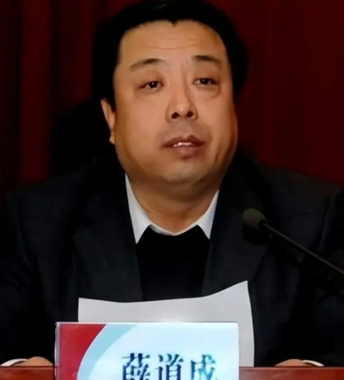 薛道成被逮捕,退休近一年后被查,为他人在煤矿整合并购方面谋利