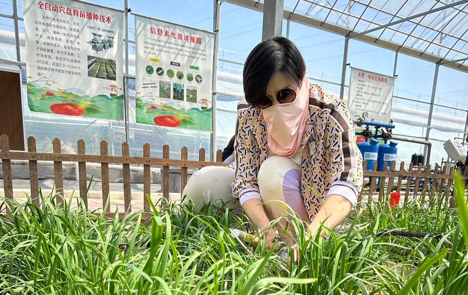 兴业银行济南分行辖属临沂各网点花式庆祝母亲节