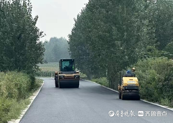 惠及15个镇街!青岛西海岸新区农村道路改造提升工程启动