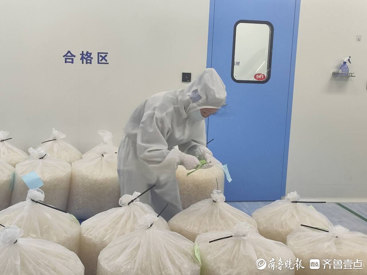 小海藻撑起大产业，一粒胶囊壳背后的产业“三级跳”