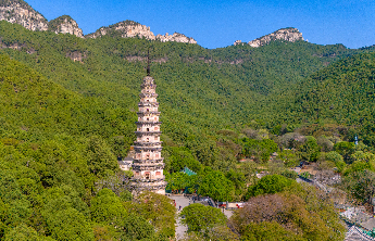 519旅游日｜免费！半价！旅游日济南23家景区大放“价”！