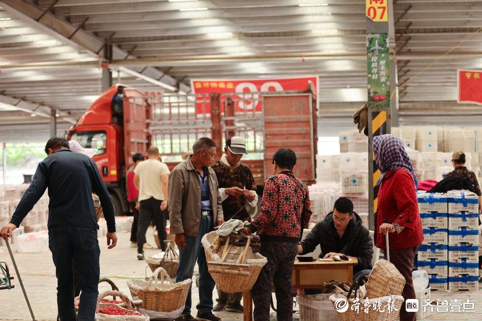 图集｜烟台凉地大樱桃上市，张格庄市场成红色“海洋”