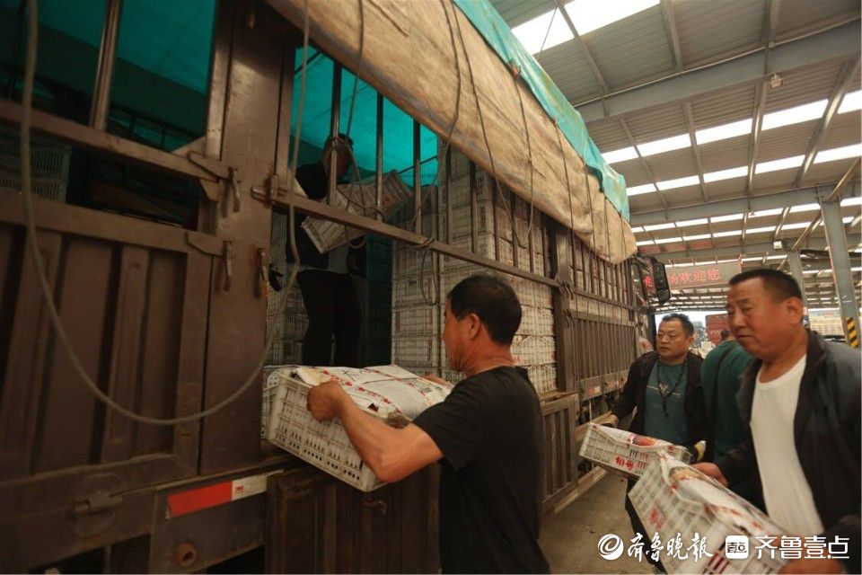 图集｜烟台凉地大樱桃上市，张格庄市场成红色“海洋”