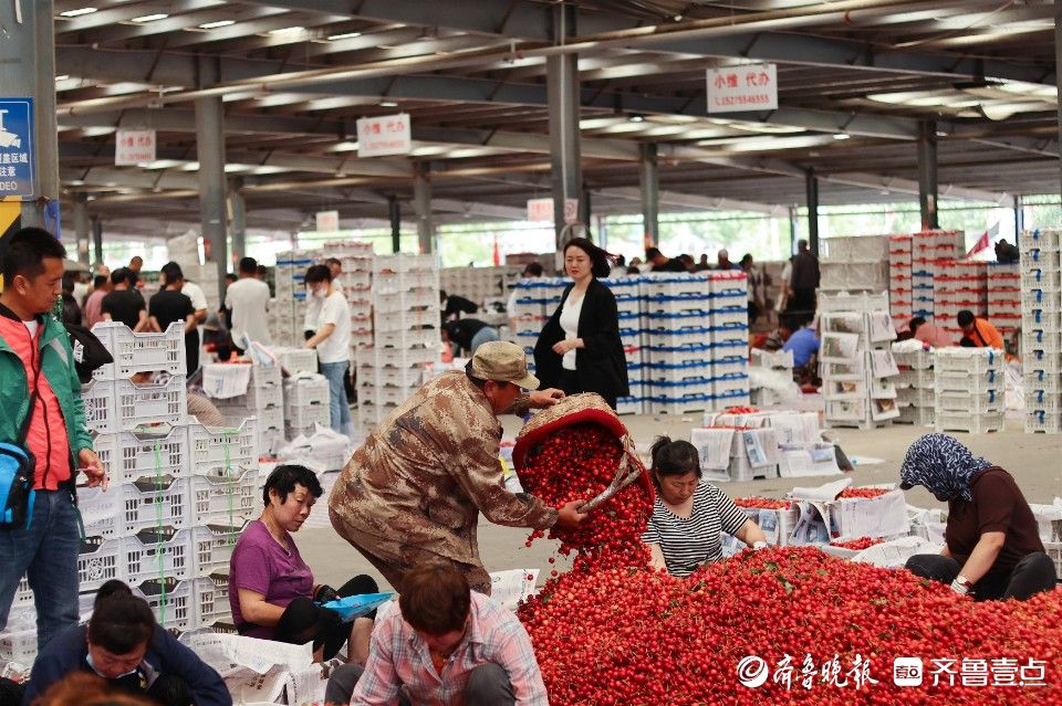 图集｜烟台凉地大樱桃上市，张格庄市场成红色“海洋”
