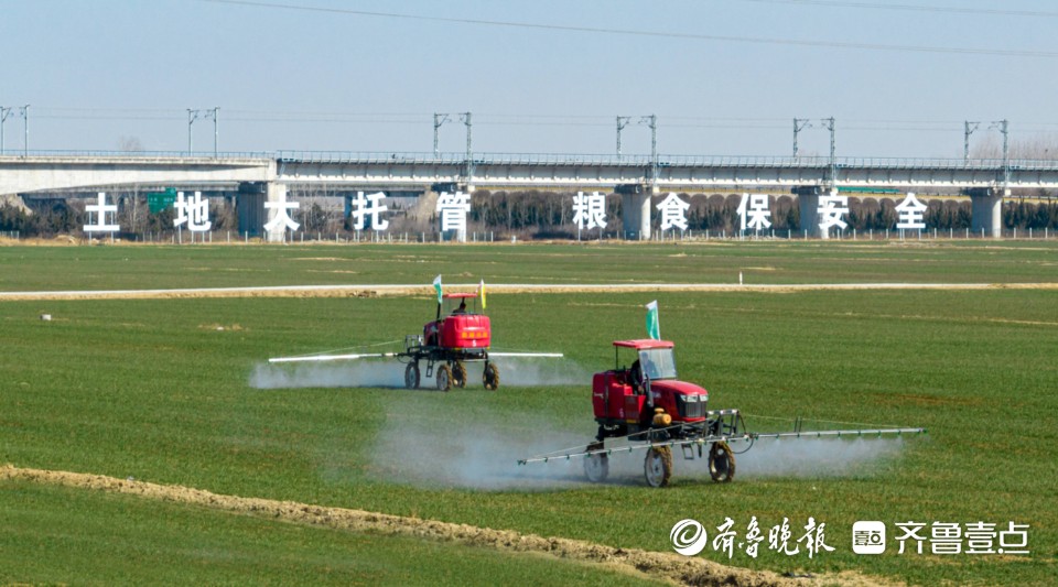 青岛同富勤耕农业机械专业合作社：让西海岸的粮仓更加殷实