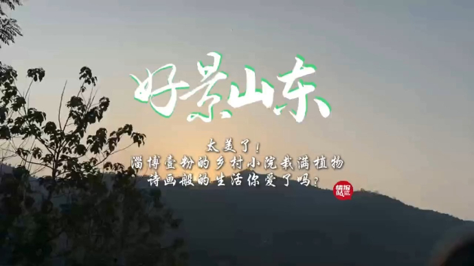 果然视频·好景山东|淄博小院栽满植物，诗画般的生活你爱了吗？