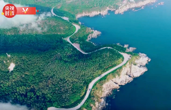 时政微纪录丨潮起海天阔——习近平总书记山东考察调研纪行