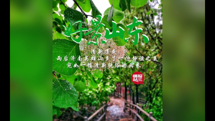 果然视频·好景山东|雨后济南英雄山清新凉爽，多了一份静谧之美