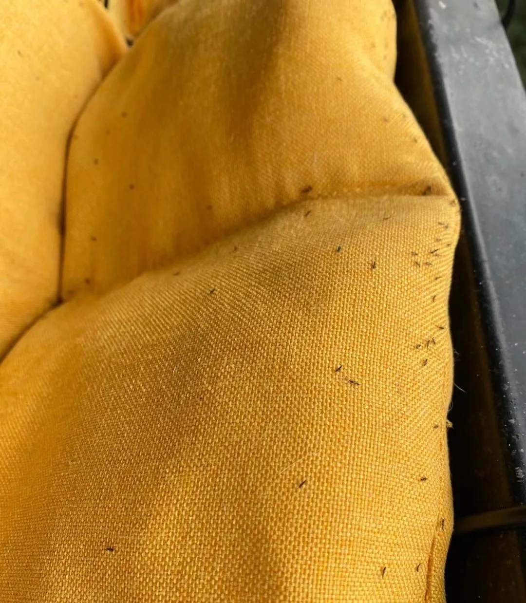 提醒!最近不要穿这种颜色的衣服出门