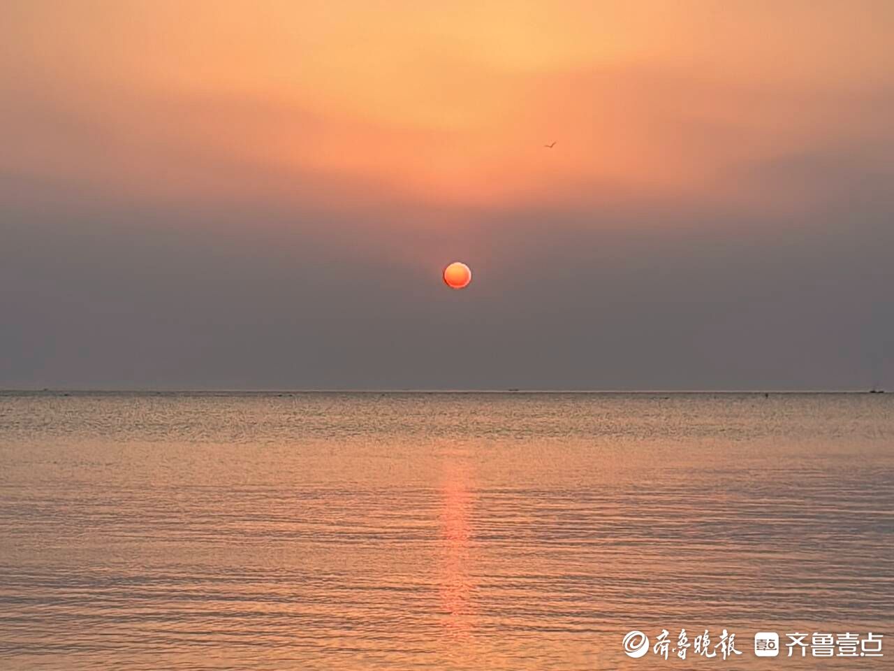 烟台日出照片图片