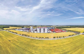 在全面推进乡村振兴上再加力——习近平总书记视察山东重要讲话引发全省干部群众热烈反响