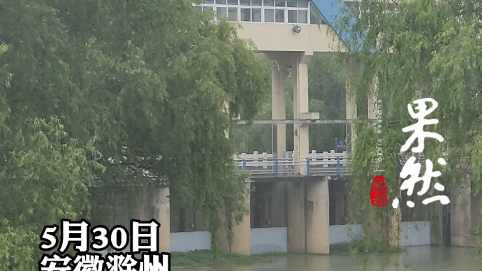 果然视频｜实探滁河，河面已不见死鱼，环卫工人称打捞了四五天