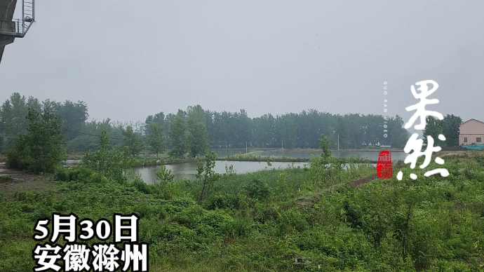 果然视频｜实探滁河，村民养殖龙虾死亡，担心生活用水受影响