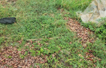 实探滁河|三句话让滁河多年治理成果付诸东流