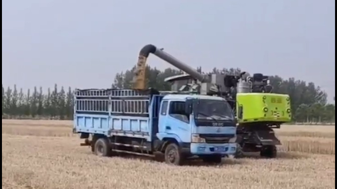  果然视频丨德州大哥在河南收割小麦，善心义举获点赞