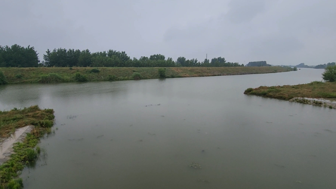 果然视频·实探滁河|三句话让滁河多年治理成果付诸东流