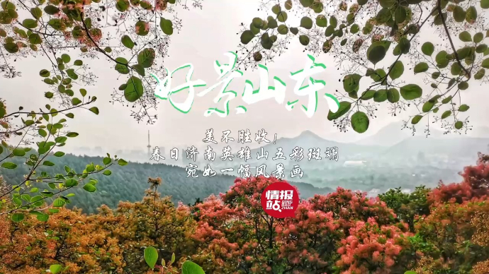 果然视频·好景山东|春日济南英雄山五彩斑斓，宛如一幅风景画！