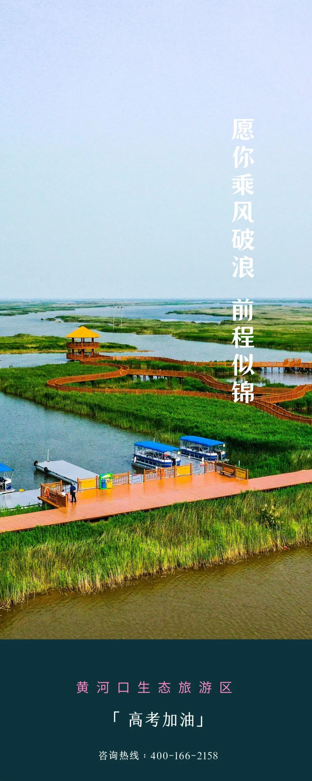 黄河口生态旅游区攻略图片