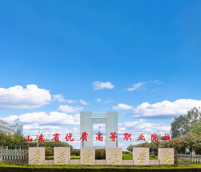 枣庄职业学院是经山东省人民政府批准、教育部备案的全日制公办普通高等职业院校，建有新城、台儿庄古城2个校区和枣庄学院教学点，校园占地1000余亩，高职在校生13900余人，教职工650余人。学校获评全国职业院校校园文化建设“一校一品”文化品牌示范基地、教育部第一批职业院校数字校园建设试点单位和山东最佳品牌影响力高校、中国民间文化教育示范学校、山东省中华优秀传统文化传承基地、山东省科普教育基地等国家、省荣誉称号80余项。