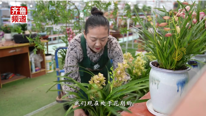 到山东过大年！花开齐鲁，幸福满“年”