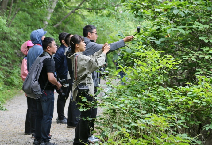 "奔赴山海·秦皇岛之约"媒体行走进祖山天女小镇