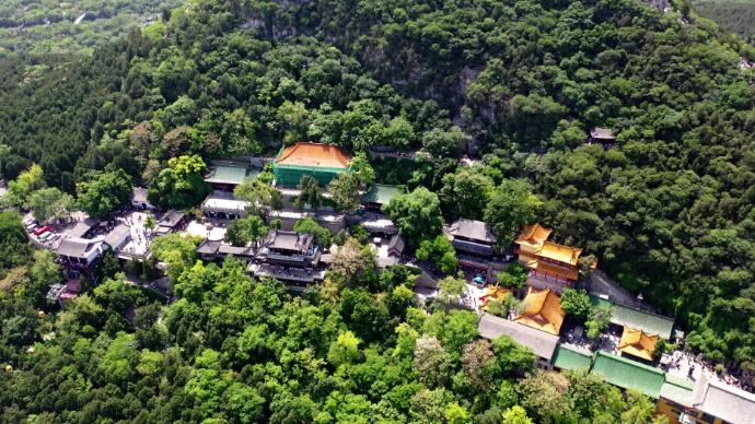 果然视频|航拍济南千佛山，端午时节满山碧绿生机勃发