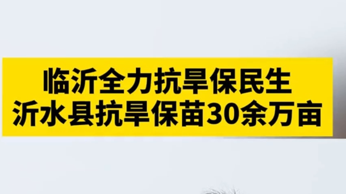 沂视频|临沂全力抗旱保民生，沂水县抗旱保苗30余万亩