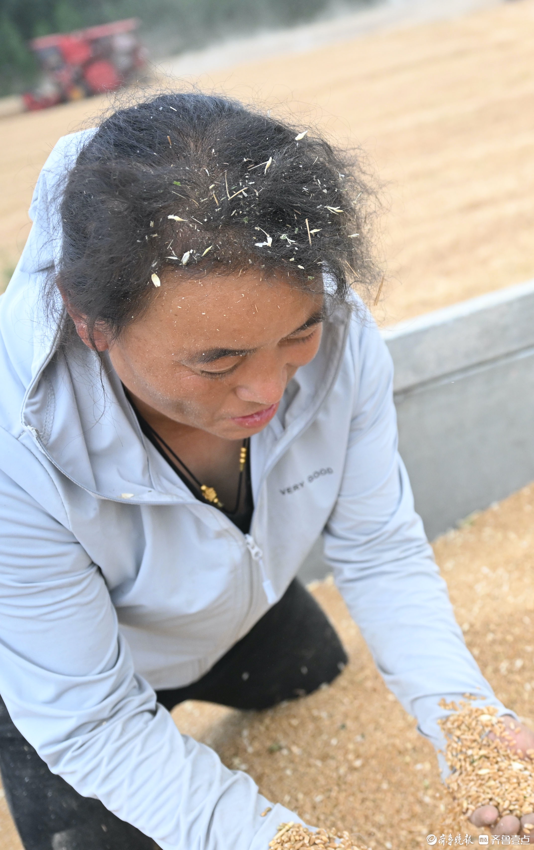 为了节省人力,袁溪霞购置了小麦玉米联合收割机,烘干机,旋耕机,玉米精