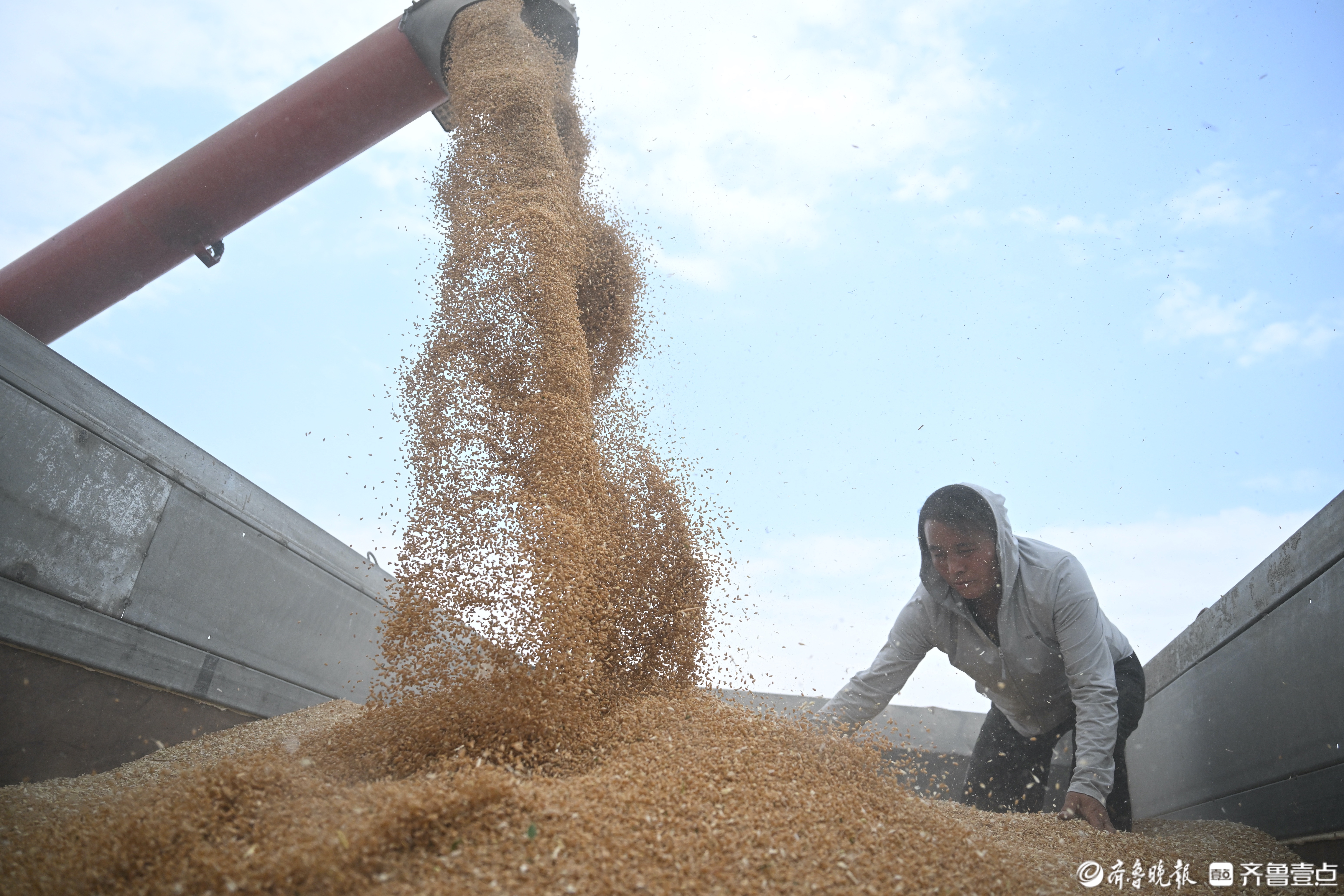 为了节省人力,袁溪霞购置了小麦玉米联合收割机,烘干机,旋耕机,玉米精