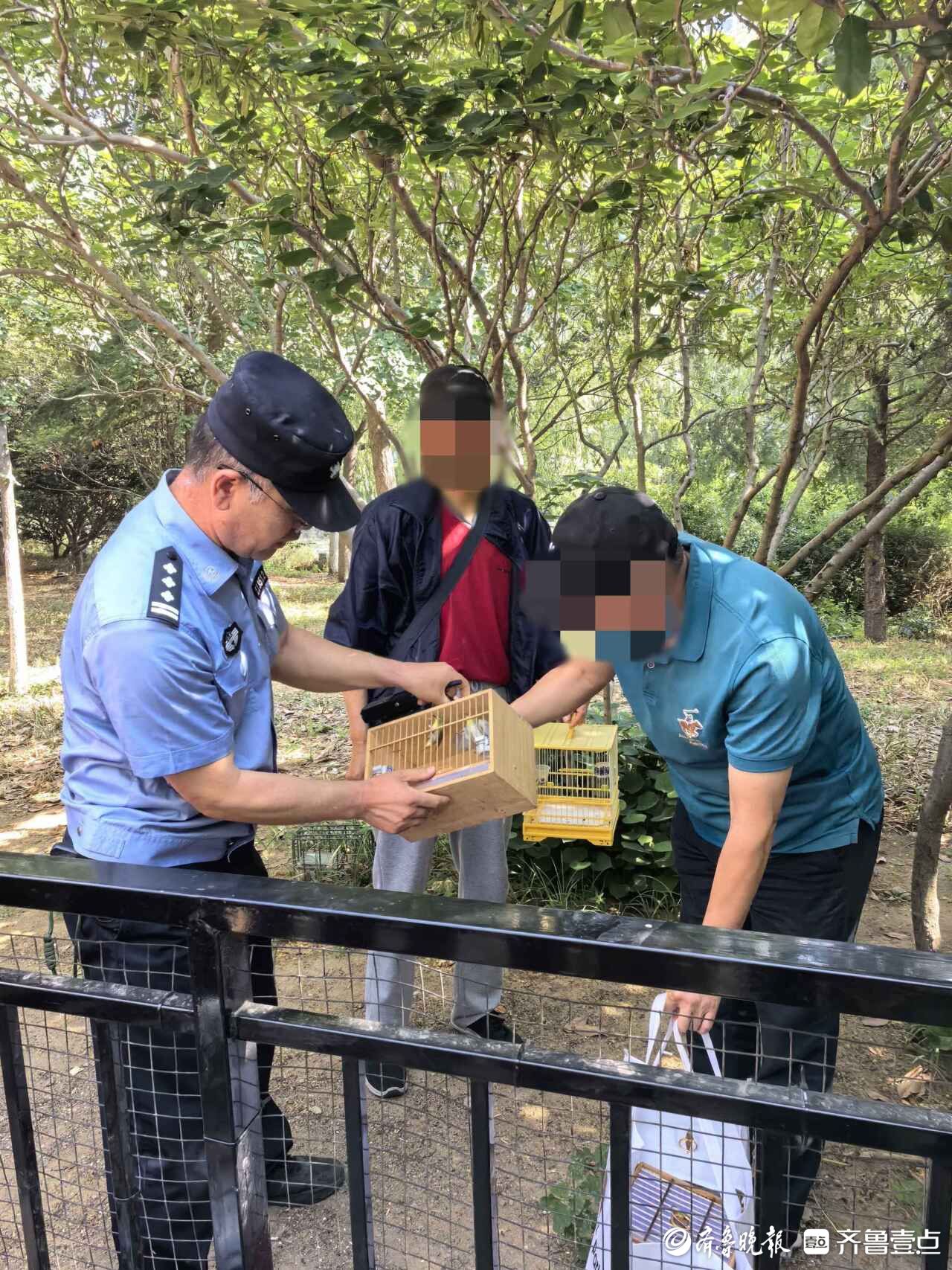 解救放飞180余只野生小鸟 市北多部门联合查处非法鸟市