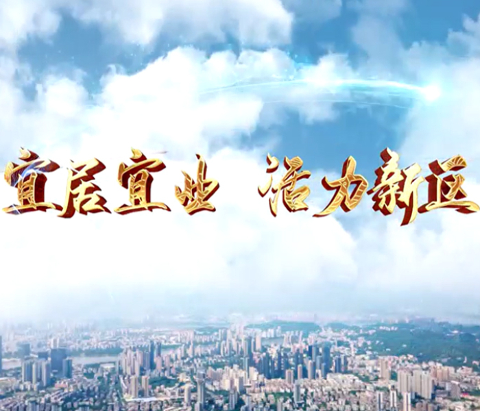 自2022年11月22日揭牌成立以来，临沂市沂河新区认真贯彻中央和省委、市委部署要求，紧紧围绕聚焦“五个定位”、建设“六大片区”、主攻“七条赛道”总体思路，以“全市前列、全省领先、全国一流”为目标，全力抓经济、抓发展，拼增速、拼变化，经济社会各项事业实现健康蓬勃发展。