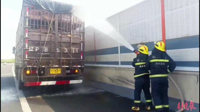 果然视频|货车爆胎抛锚高速路上，消防员给一车活猪喷水降暑