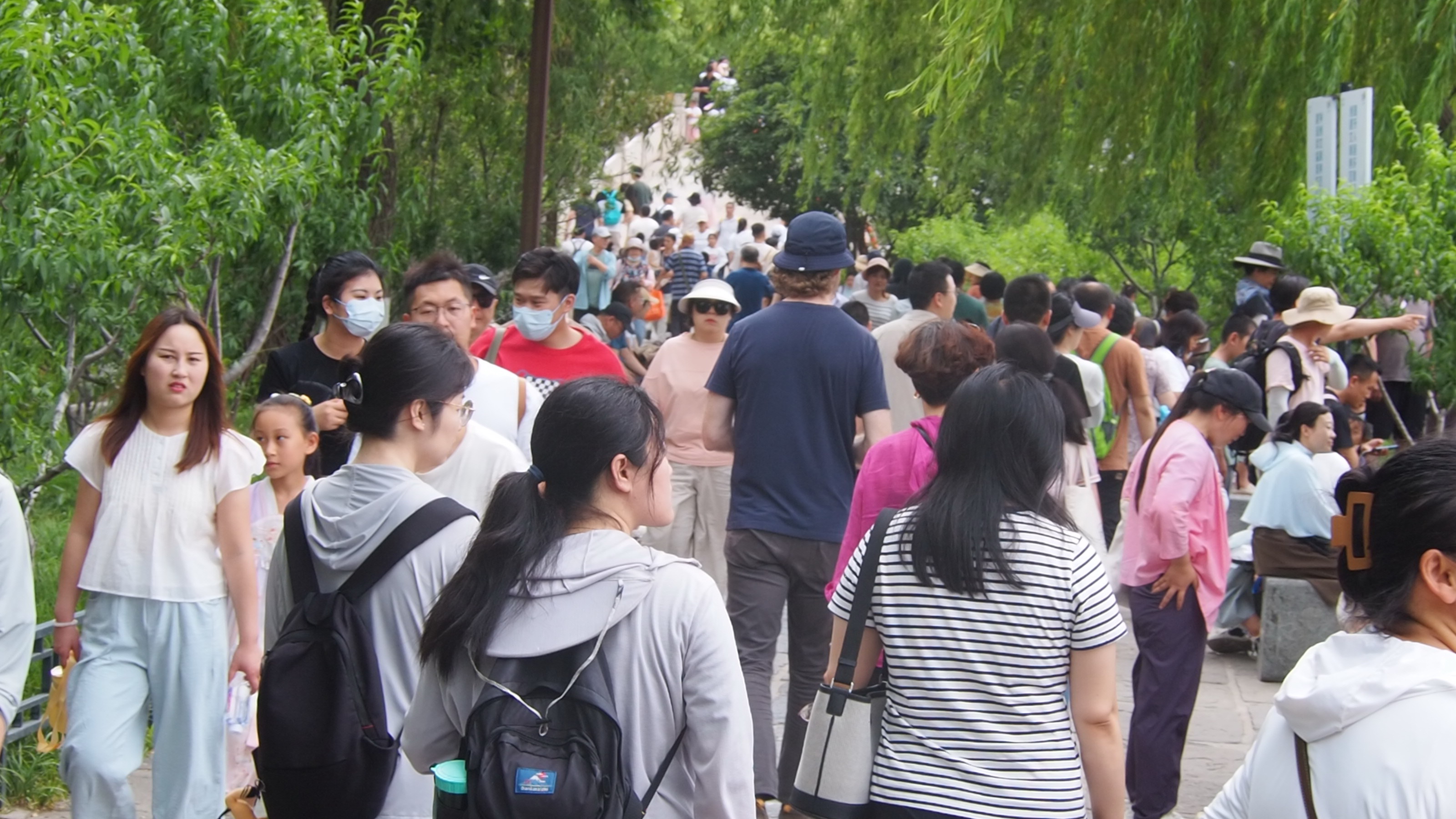 周末的济南大明湖景区，数万人涌入仿佛节日一般