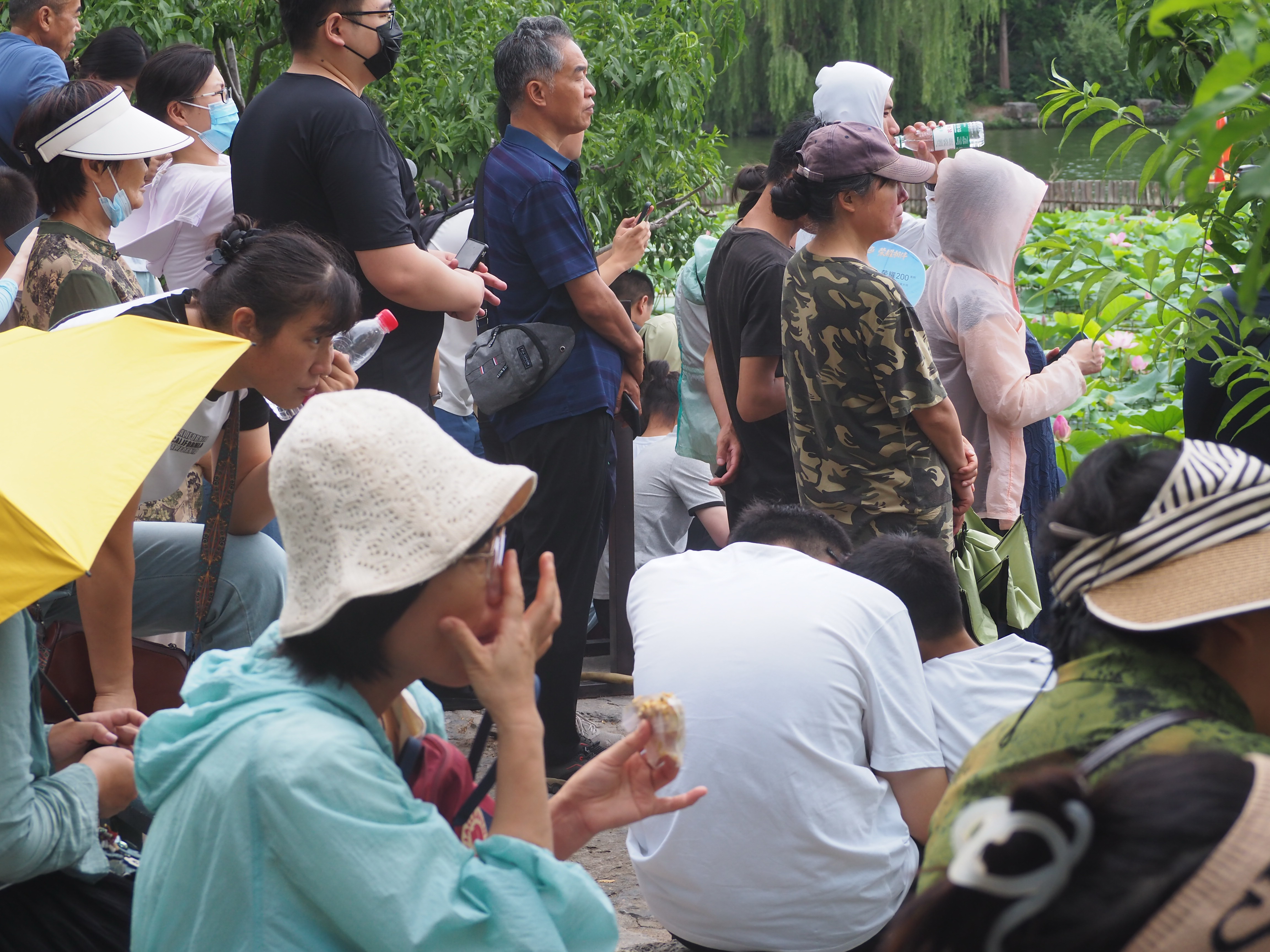 周末的济南大明湖景区，数万人涌入仿佛节日一般