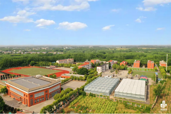 齐鲁晚报暑假夏令营|诗书里的中国！跟着李白的足迹！