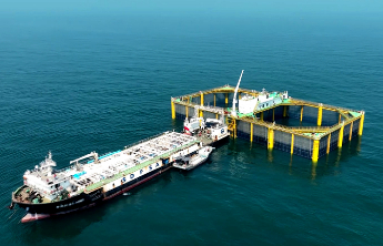 山东日照：一尾鱼“游”出一条链