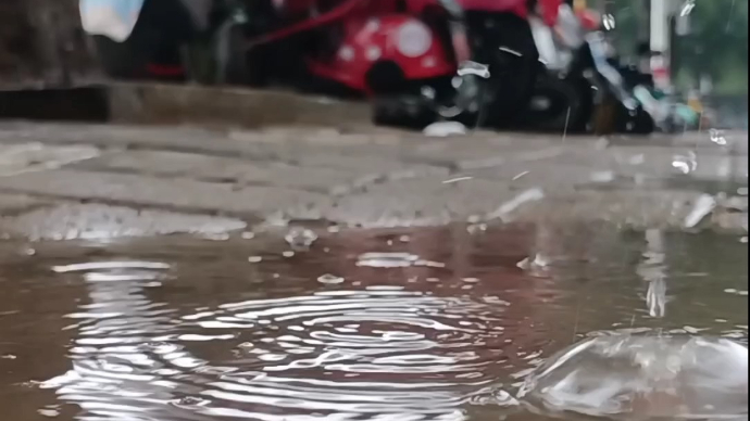 视频|久旱逢甘霖，夏至迎来及时雨，泰城街头清凉湿润