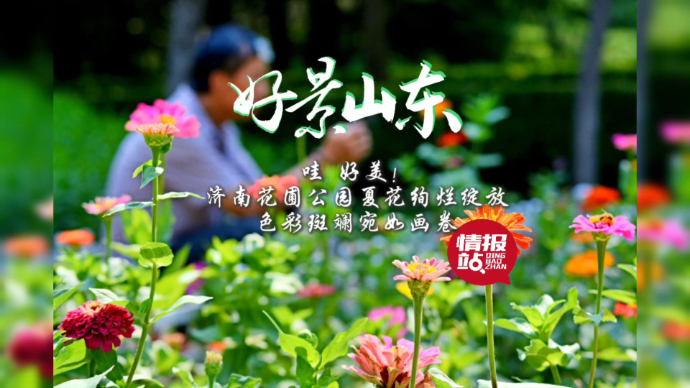 果然视频·好景山东|济南花圃公园夏花绚烂绽放，色彩斑斓如画卷