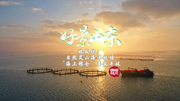 果然视频·好景山东|收获忙！日照海洋牧场“海上粮仓”喜丰收