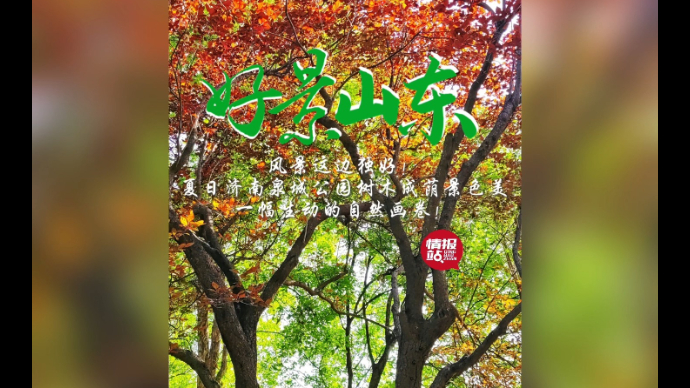 果然视频·好景山东|济南泉城公园树木成荫好风景，一幅优美画卷