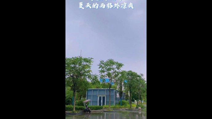 枣庄下雨了 夏天的雨格外凉爽