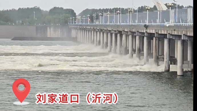 果然视频丨临沂沂河、沭河发生2024年第1号洪水
