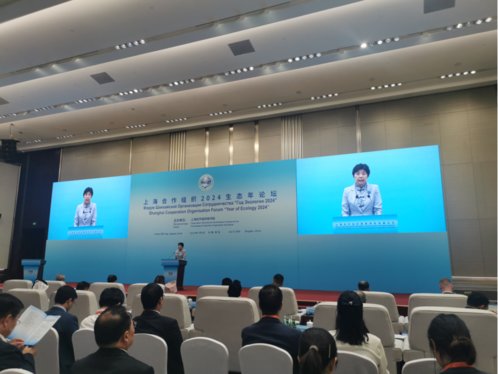 崔丽:今年为上合组织生态年,愿与各国共建绿色发展的命运共同体