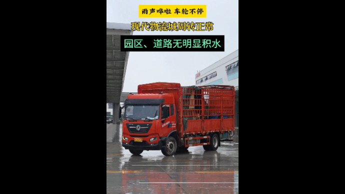 沂视频|园区、道路无明显积水，现代物流城周转正常